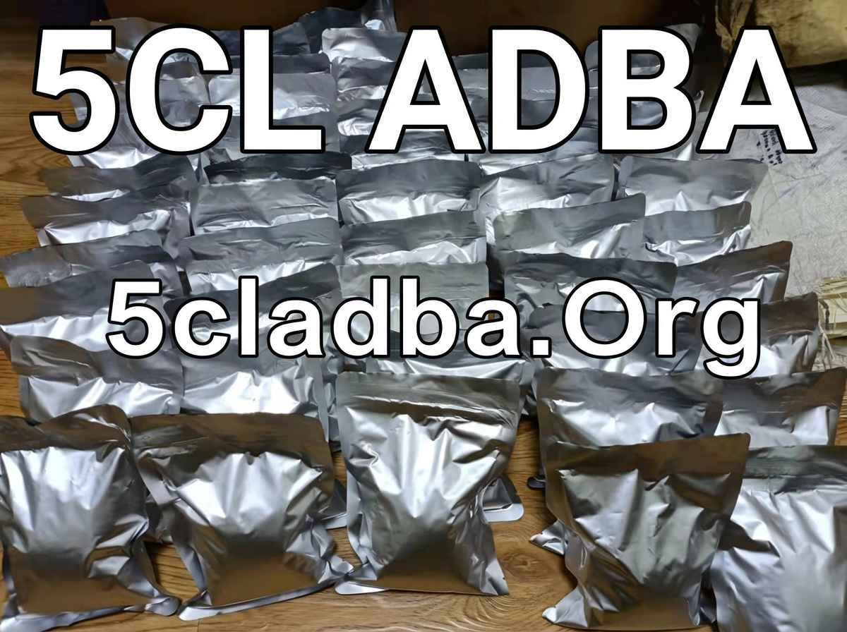 5cladba 2026 buy online